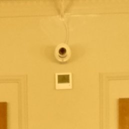 ��������, �����, 67 ���