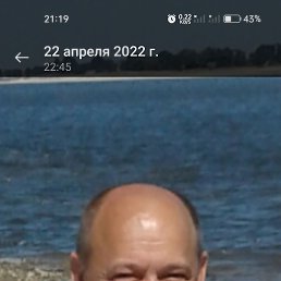 , 54, 