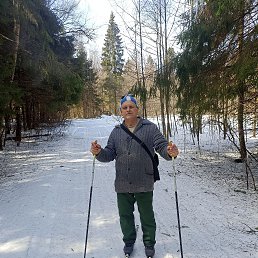 ������, 56 ���, ������