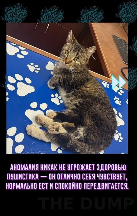 A e c ec aa a o oa ye ee oe. aoe, oce peype, ec o ... - 2