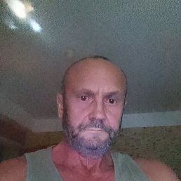 , 61 , 