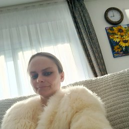 ���� ����, �����������, 40 ��� - ��������� 2 ����� 2026