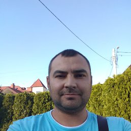, 40, 