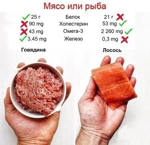 Сравнение количества полезных веществ в мясе и рыбе.