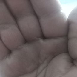    , , 56  -  3  2024