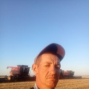 , 43 , -