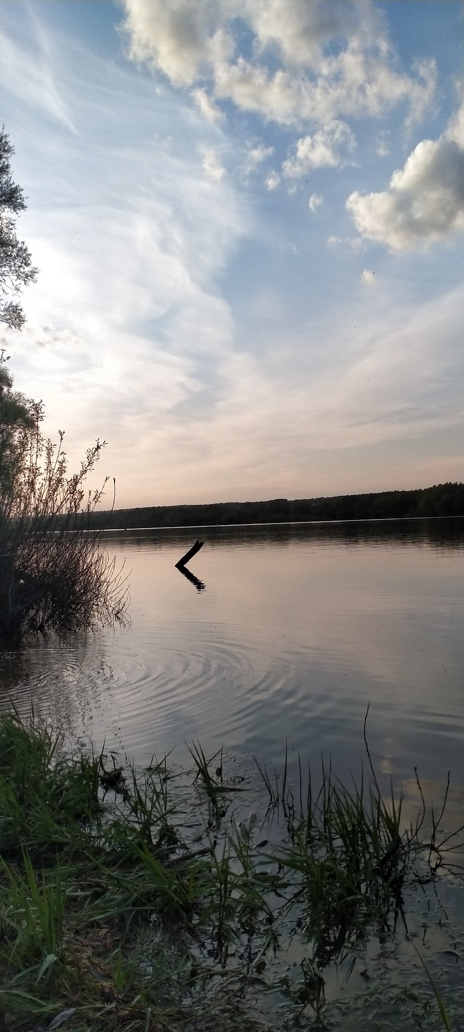 -  !)   !)