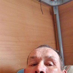  , 46 , 