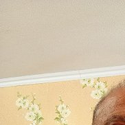 , 55 , 