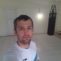 , 40, 
