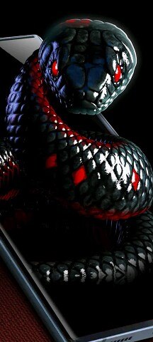 ���� ����, ������, 48 ��� - ��������� 27 ������� 2023