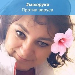 ����������, ��������, 62 ����