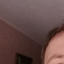 ������, ������, 50 ���