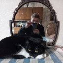 ���� �������, ������, 61 ��� - ��������� 8 ������ 2026