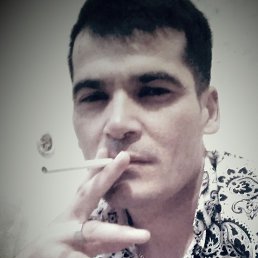 ����, ��������, 37 ���