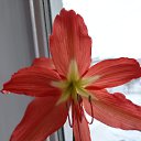 ���� �������, ������, 67 ��� - ��������� 21 ����� 2024 � ������ ���� ����������