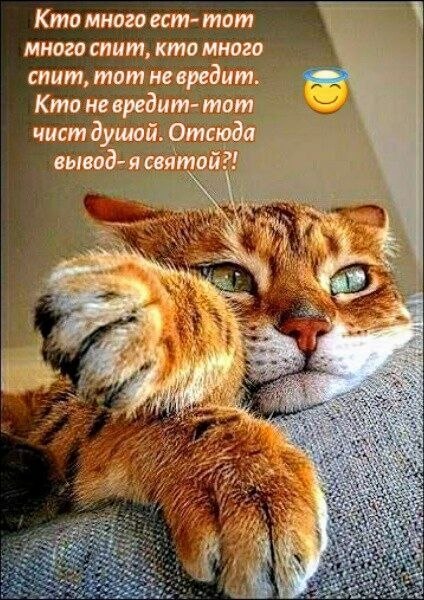 ����������. - 7 ������� 2025 � 08:25