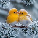 ���� �������@, �������� - ��������� 19 ������� 2026 � ������ ������ ��������