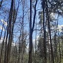 ���� ��������, ������, 57 ��� - ��������� 27 ������ 2024 � ������ ���� ����������