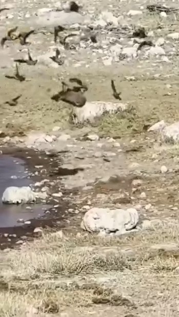 �� ������� ������, ����� �� � �������� ���! - 2