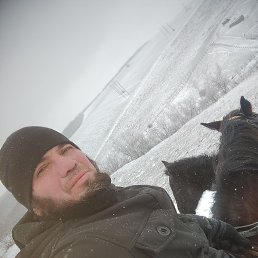 ������, ������, 35 ���