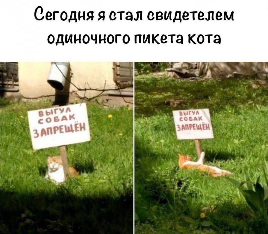   - 14  2025  14:55