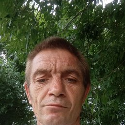 ���� �������, ���������, 48 ��� - ��������� 6 ������� 2026