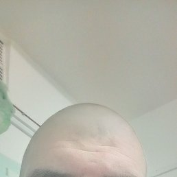 �����, 37 ���, ����