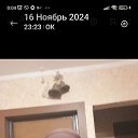 ���� ����, �����, 56 ��� - ��������� 23 ������ 2024