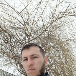 ���� ������������, ��������, 33 ���� - ��������� 4 ������ 2024