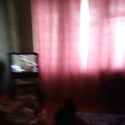 �������, ������ ��������, 55 ���