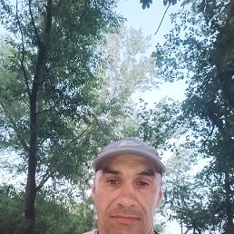 , 45, 