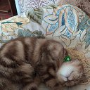 ���� �������, ���������, 69 ��� - ��������� 11 ������� 2024 � ������ �������