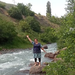 , 65, 