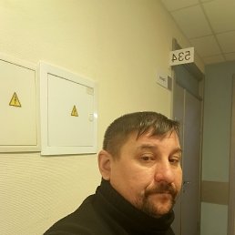 ����, 49 ���, ������