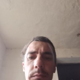 ����, ����, 39 ���