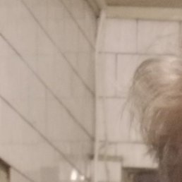 �������, �����, 18 ���