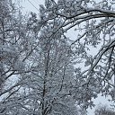 ���� ���������, �����-���������, 21 ��� - ��������� 2 ������ 2025 � ������ ���� ����������
