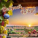 ���� ����, ������, 61 ��� - ��������� 10 ������� 2024