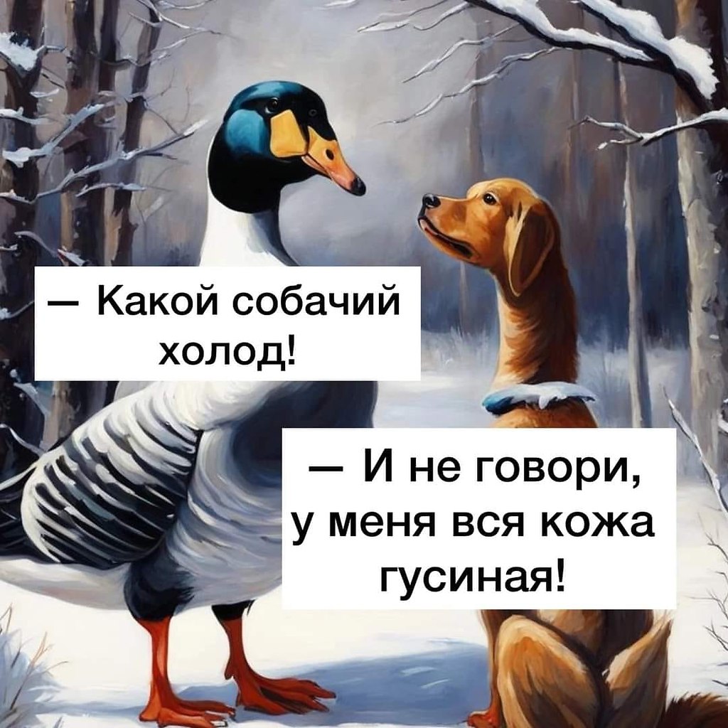  - 6  2023  05:44