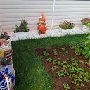 ���� ������, �����������, 69 ��� - ��������� 9 ���� 2025 � ������ ���� ����������