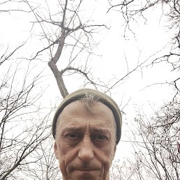 �������, 51 ���, ������