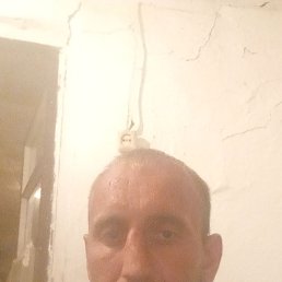  , 36 , 