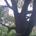 ���� ������ !**, ������, 66 ��� - ��������� 6 ������ 2025 � ������ ������ ��������