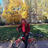 ����, , ������