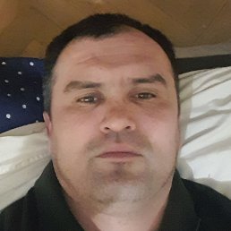 ������, �����-���������, 39 ���