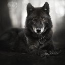 ���� ������, ���������, 23 ���� - ��������� 14 ������ 2024 � ������ ���� ����������