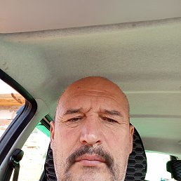 , 52, 