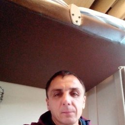 , 44, 