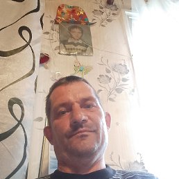 , 42, 